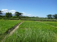 agriculture et environnement