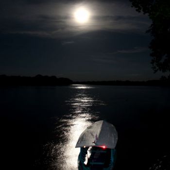 Pleine lune en Amazonie